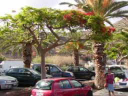 Resize of P21010122.JPG